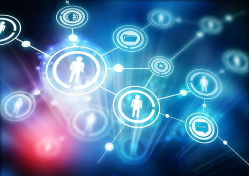 啟動丨信息港小學率先試點 育藍工程 項目啟動,秒辨危險